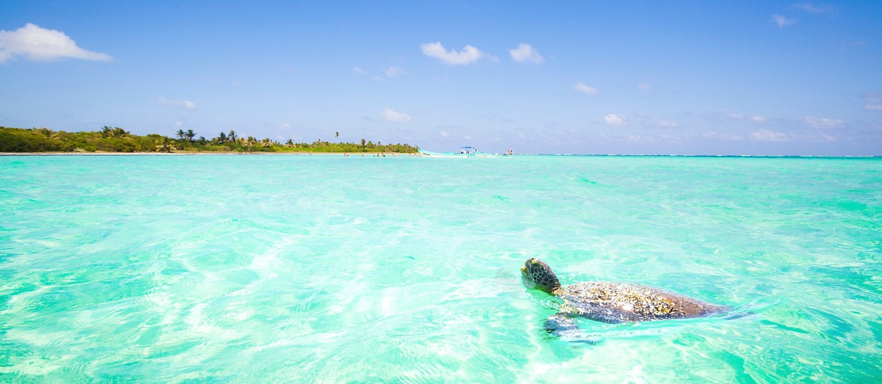 Vacations and tourism concept: Caribbean Paradise.
