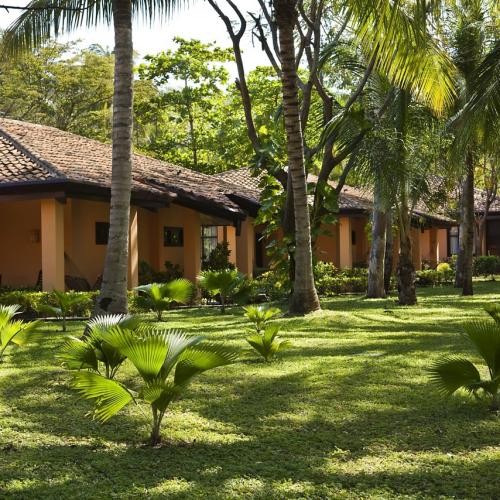 Get Wallpaper Barcelo Montelimar Hotel A Playa Montelimar Barcelo Com Desktop Wallpaper Free