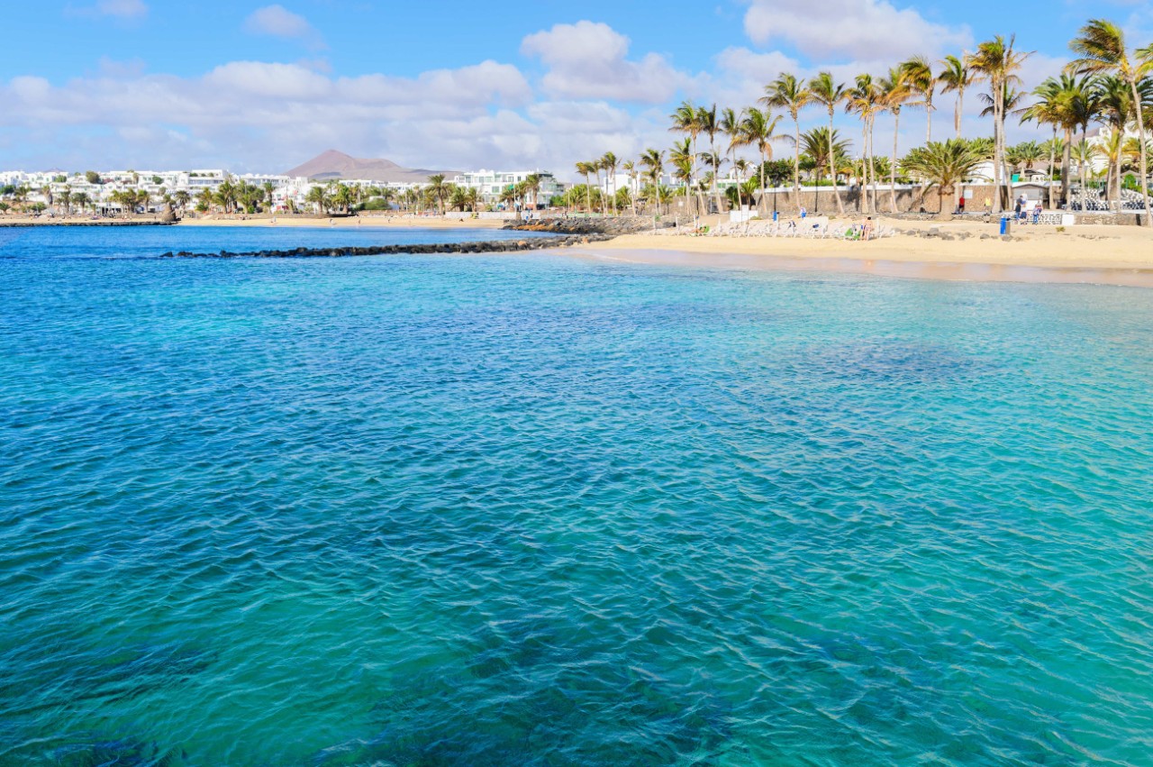 Beautiful beach of Las Cucharas in Costa Teguise, Lanzarote, Canary Islands. View of the blue sea, yellow sand, palm trees, selective focus