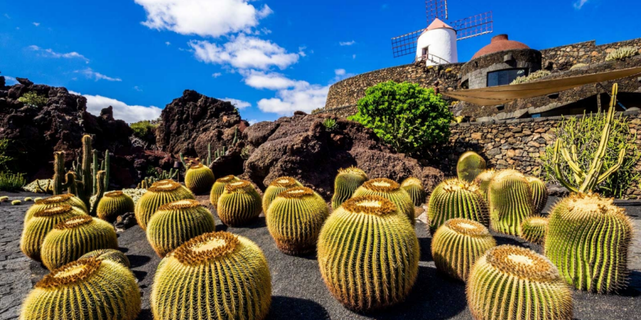 Hotels In Lanzarote Canary Islands Barcelo Com