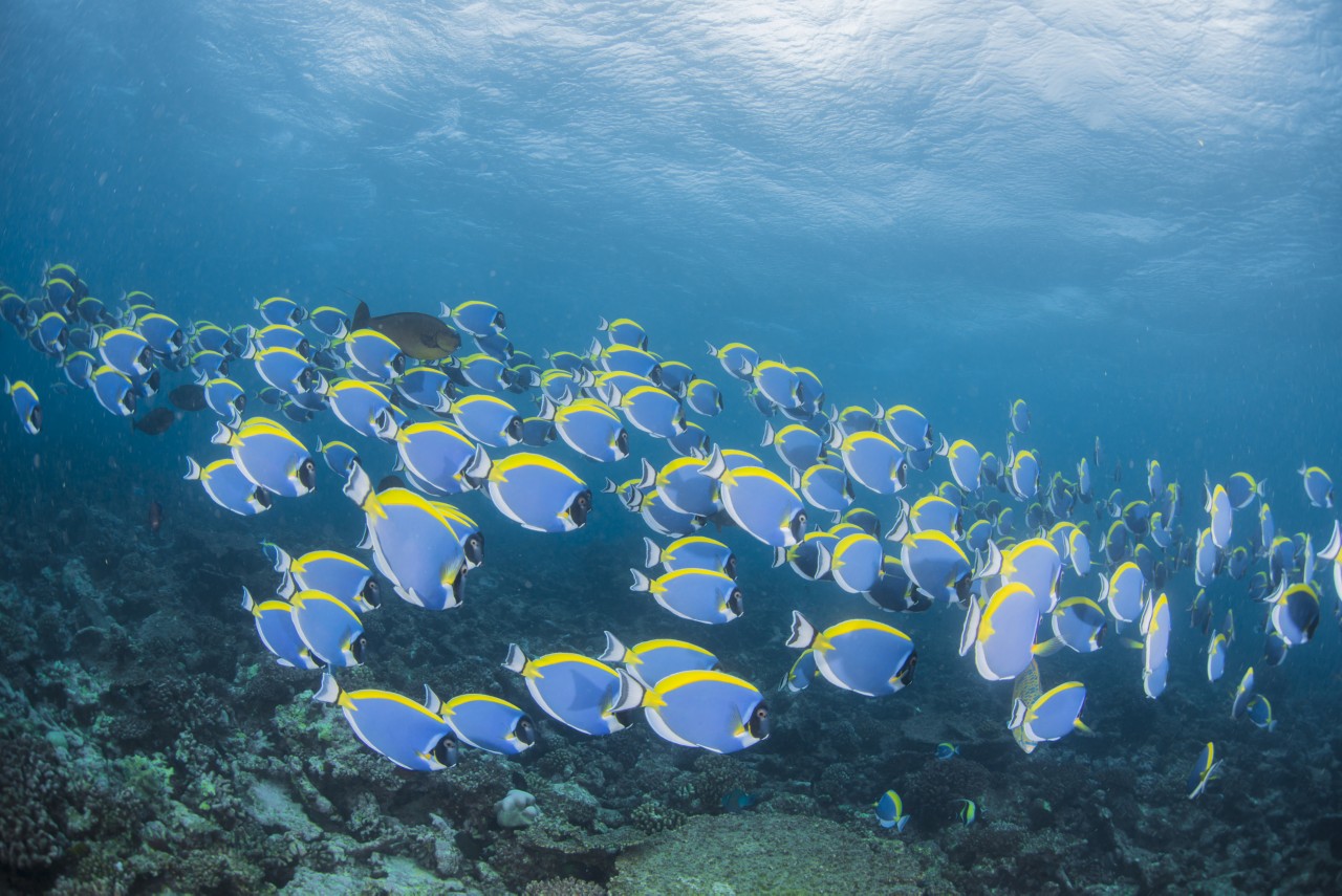 Photo taken in MalÃ©, Maldives