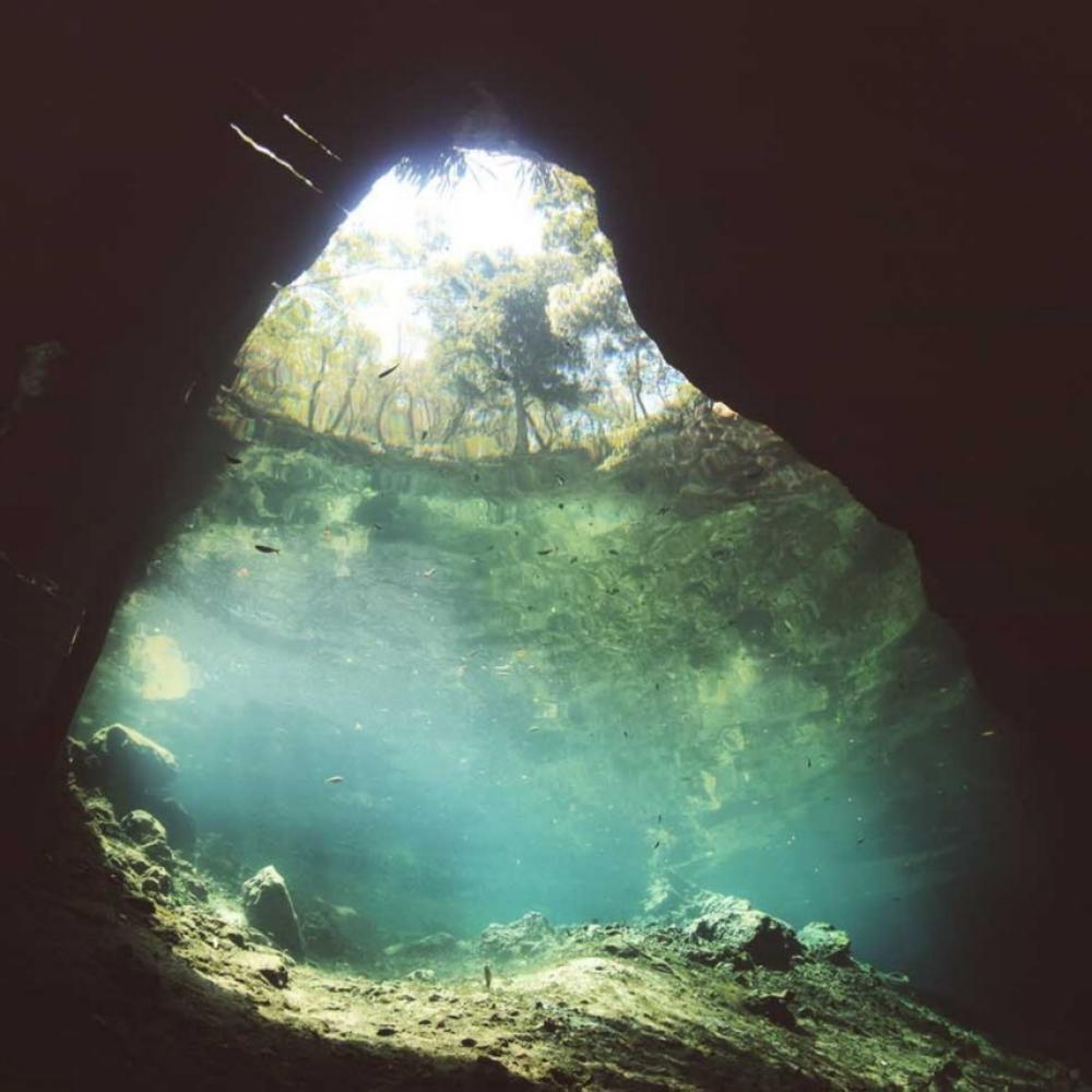 Viajes de buceo: vacaciones en el Caribe bajo sus arrecifes de coral