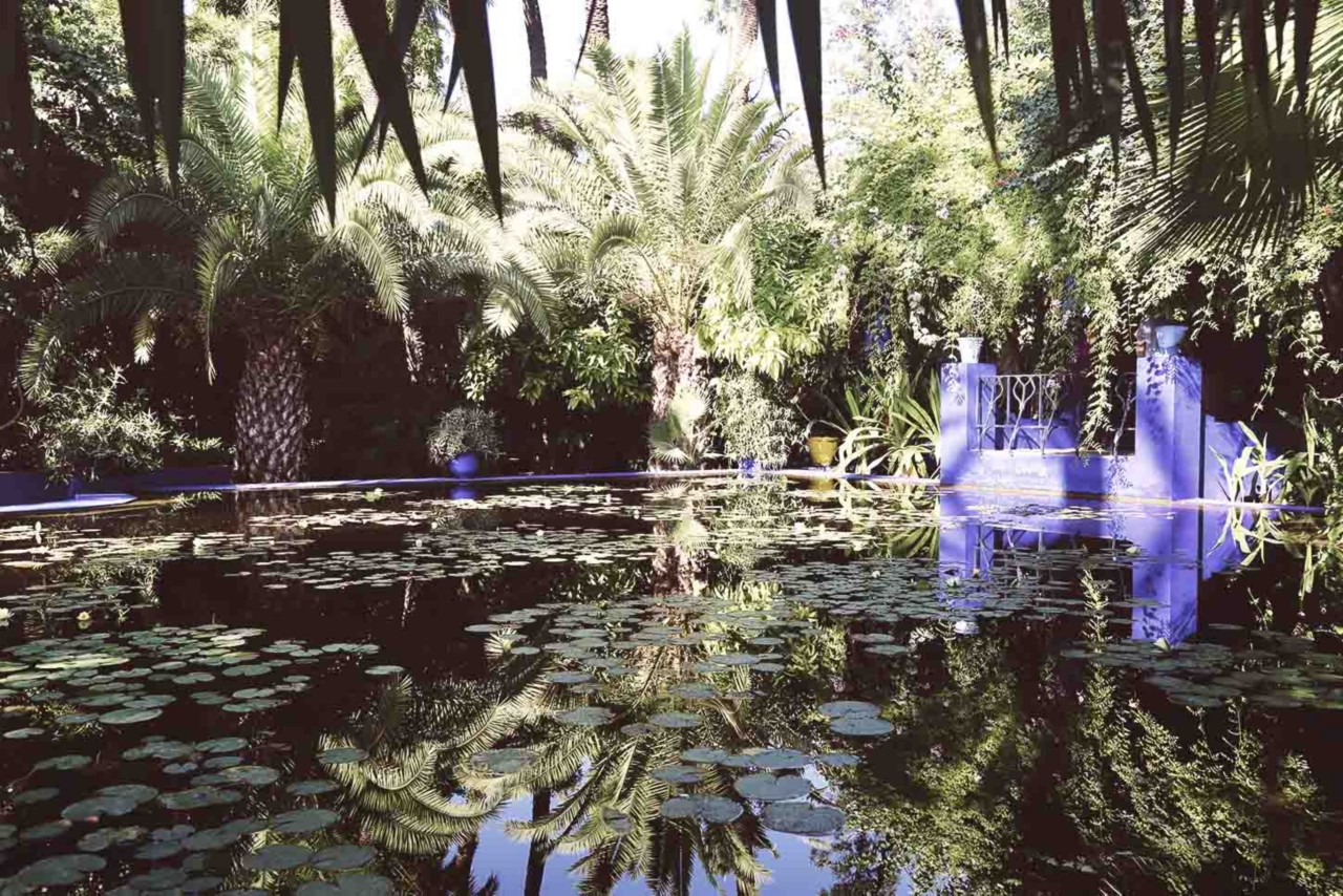 Vous cherchez la douceur des patios et jardins? Marrakech en offre de nombreux