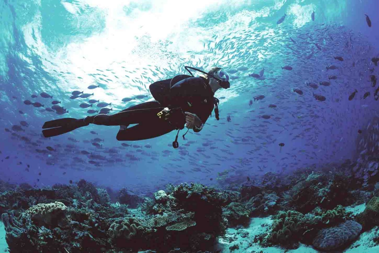 There are scuba diving breaks in Spain for everyone, from beginners to experts