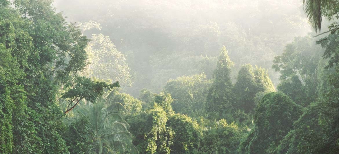 Parques-naturales-Costa-Rica