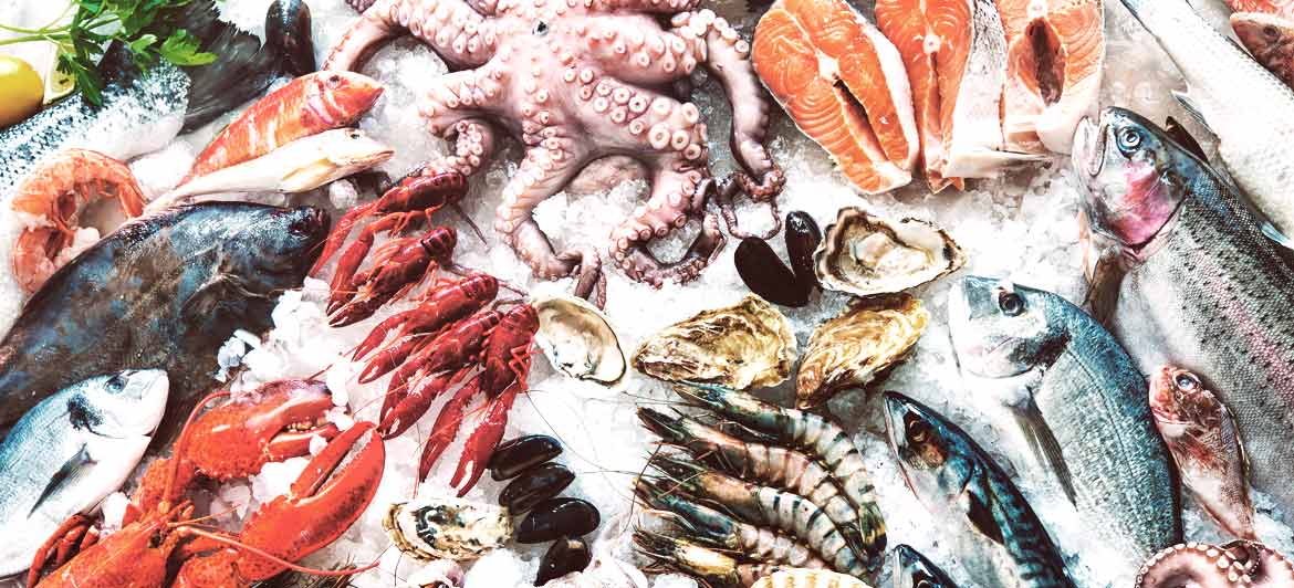 A Tourists Guide to Mexicos Seafood Delights