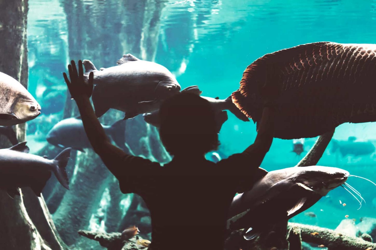 Das Aquarium von Barcelona ist eine tolle Abwechslung für Kinder.