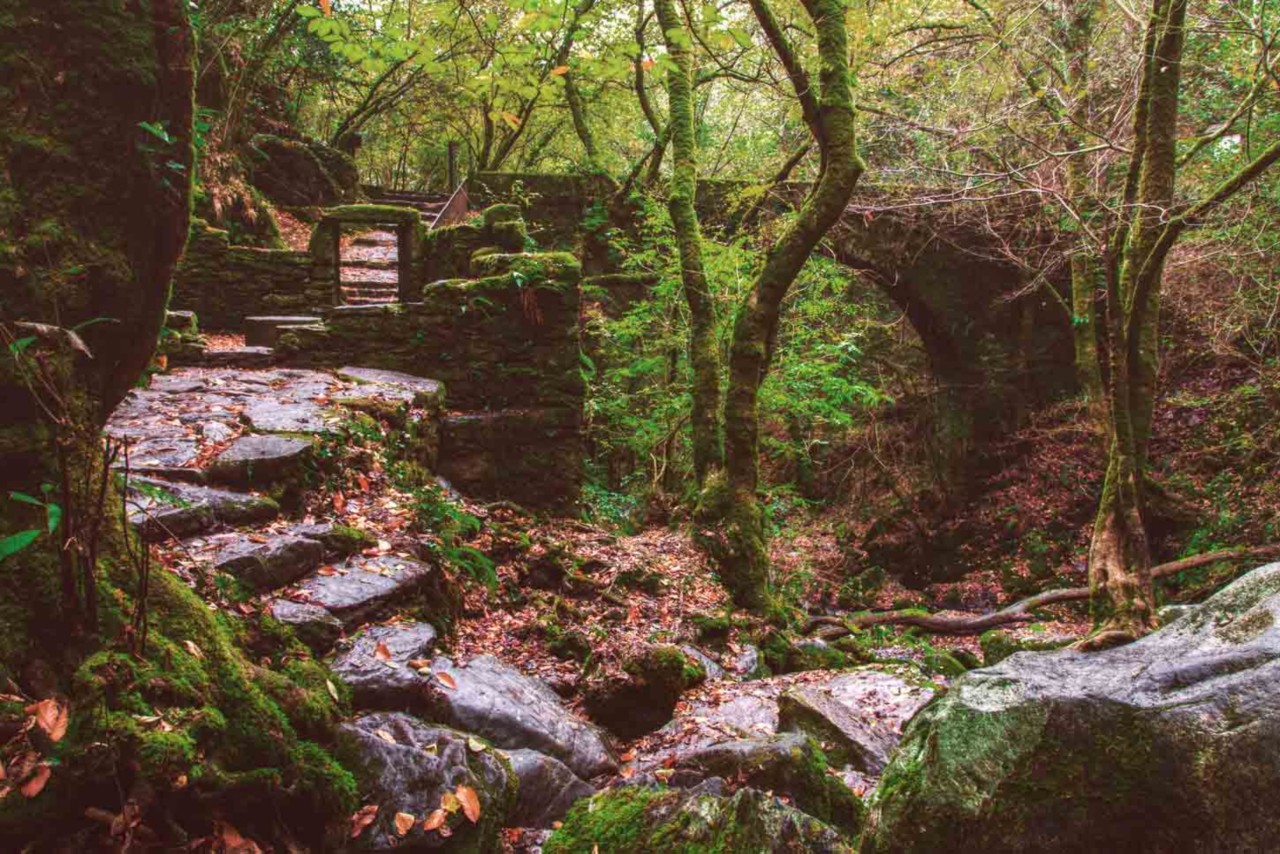 On your north Spain holidays, discover the Fraga del Eume in Galicia