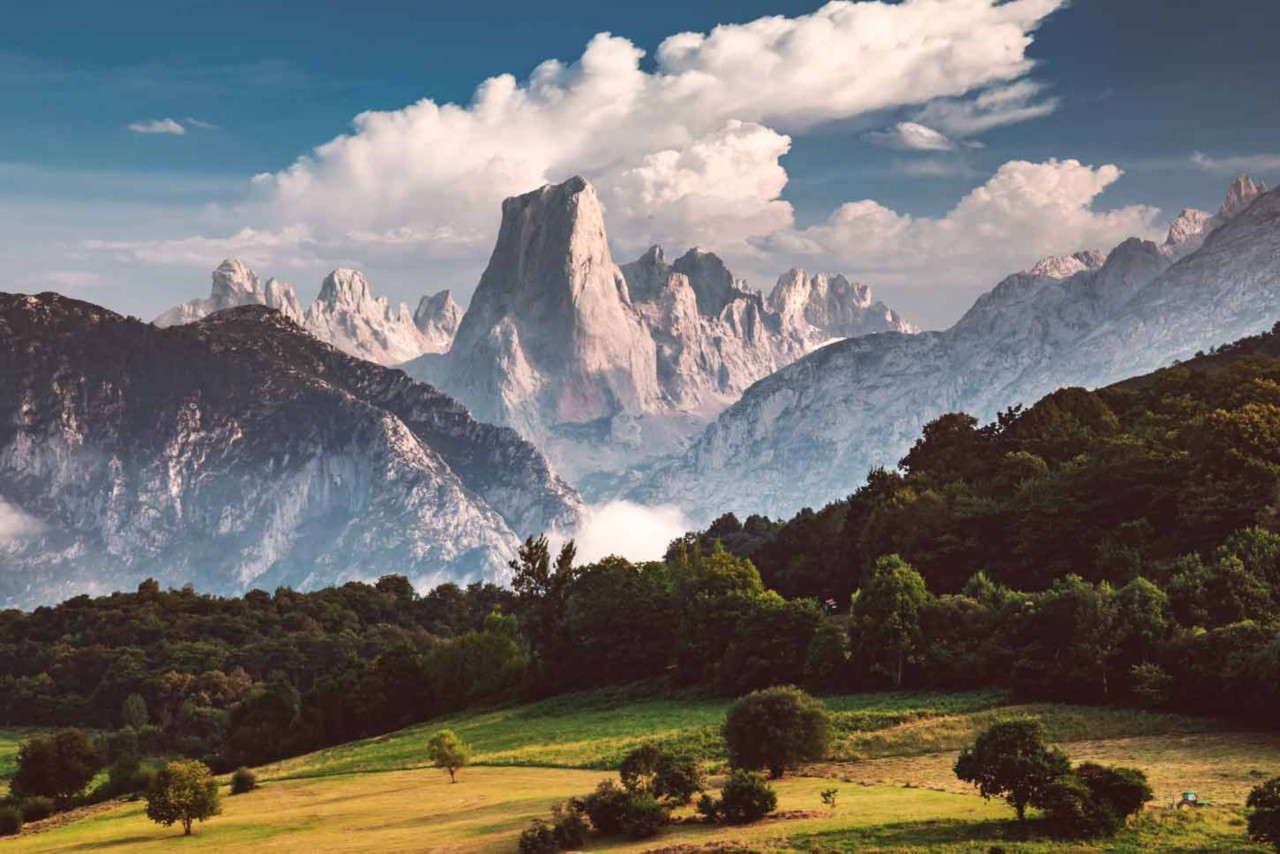 There are lots of Natural Parks in Northern Spain, including the Picos de Europa