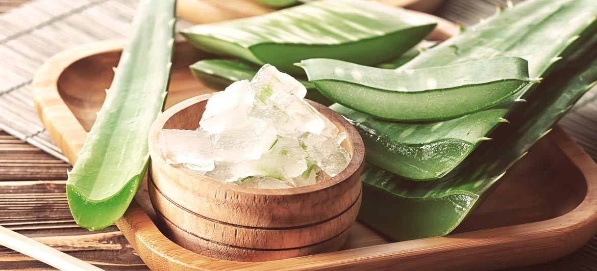 Discover the benefits of Lanzarote's aloe vera for the skin