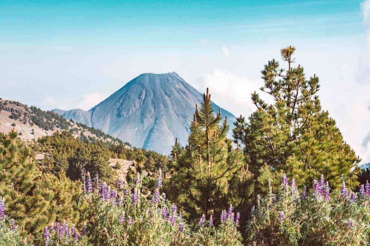 Der Nationalpark Nevado de Colima in Mexiko