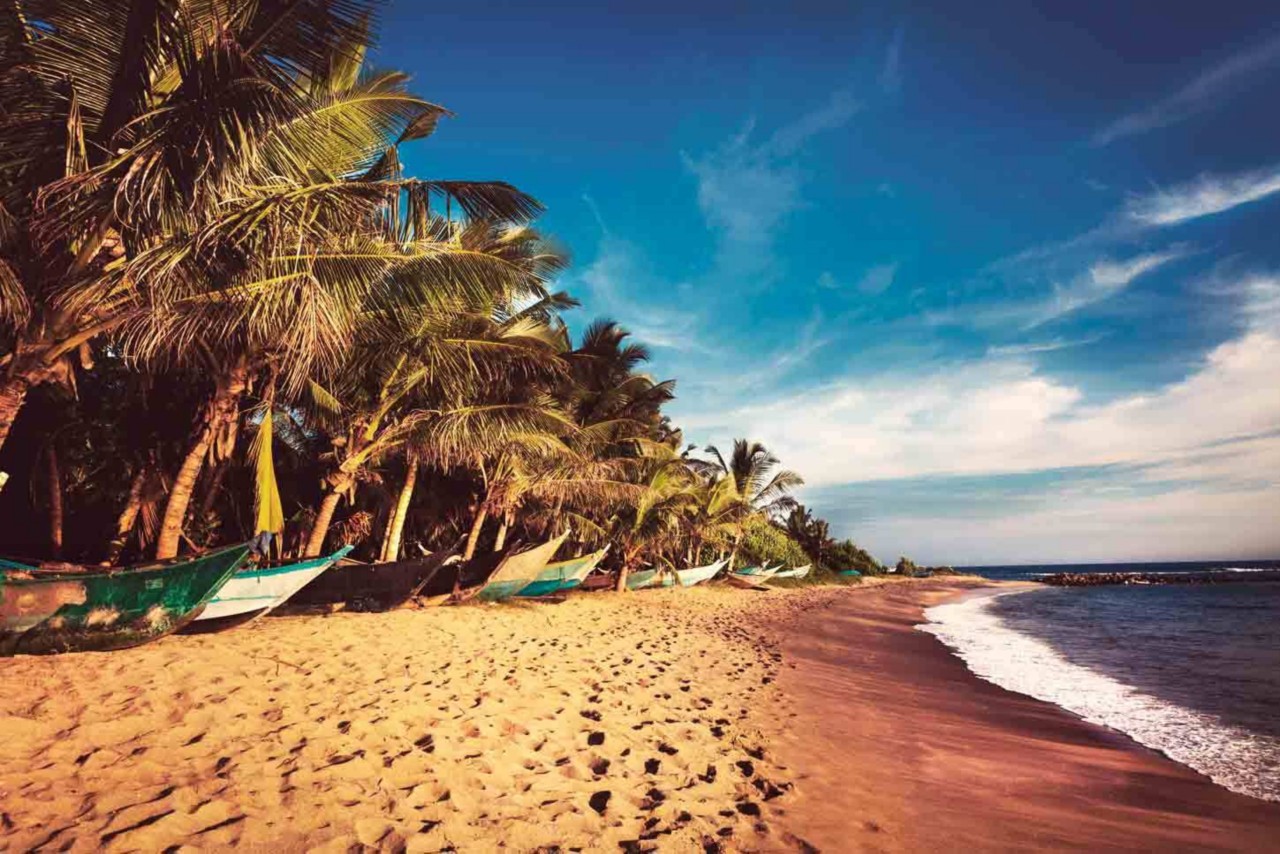 Mirissa es una de las mejores playas del sur de Sri Lanka