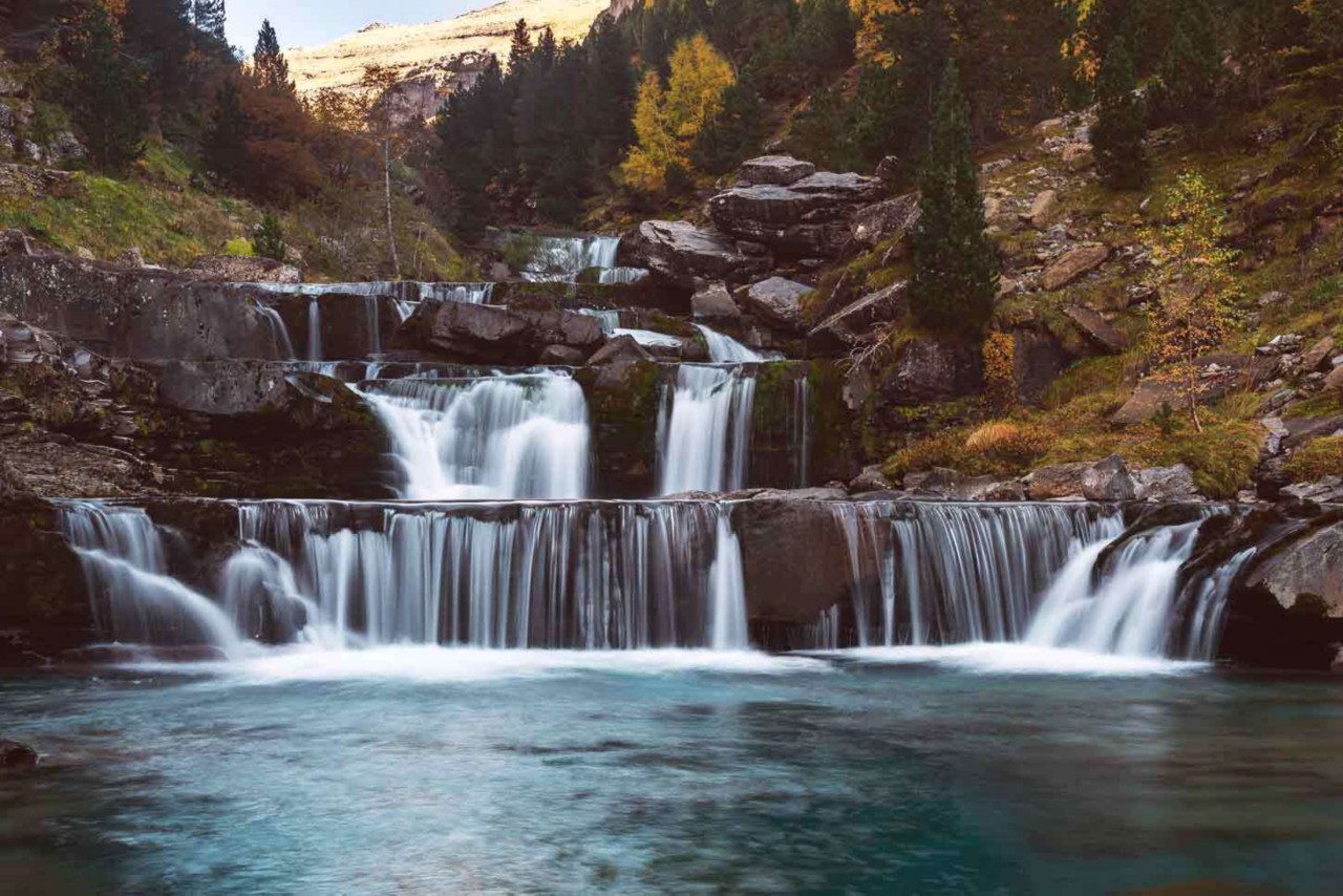 Bosques de España: los mejores y más bonitos para perderse