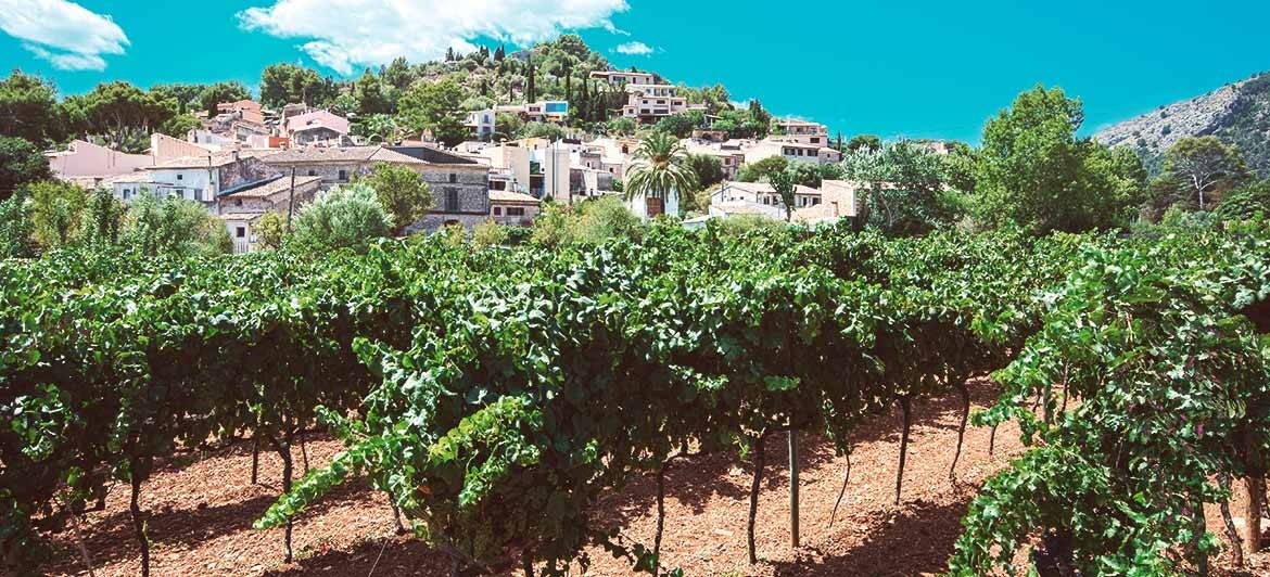 Weintourismus in Spanien: malerische Landschaften erwarten den Weinliebhaber.