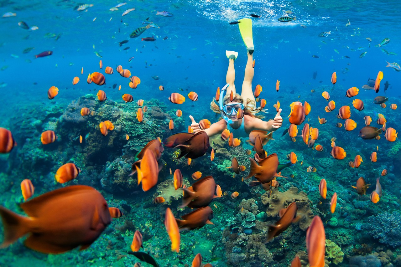 Discover the best places to snorkel in the Caribbean and book your relaxing getaway