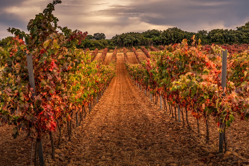 festivos la rioja
