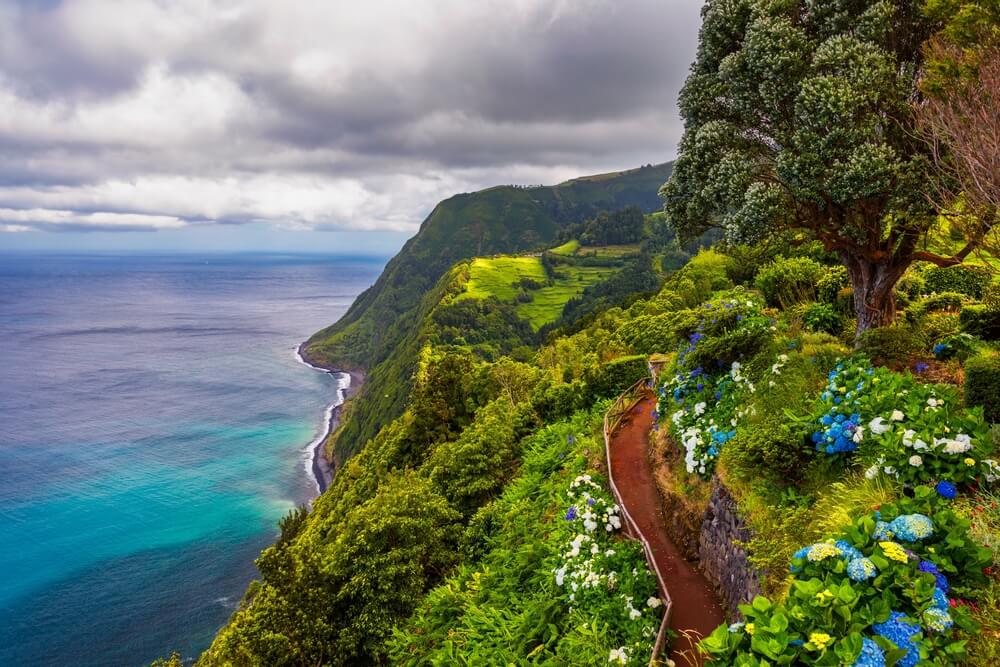 Lidiar con Suradam virtud Azores o Madeira: elige tu destino