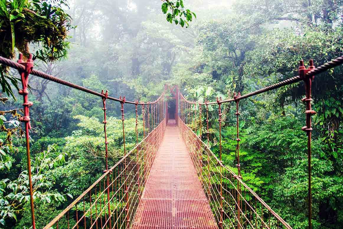 Costa Rica Aktivitäten: Hängebrücken im Nebelwald.