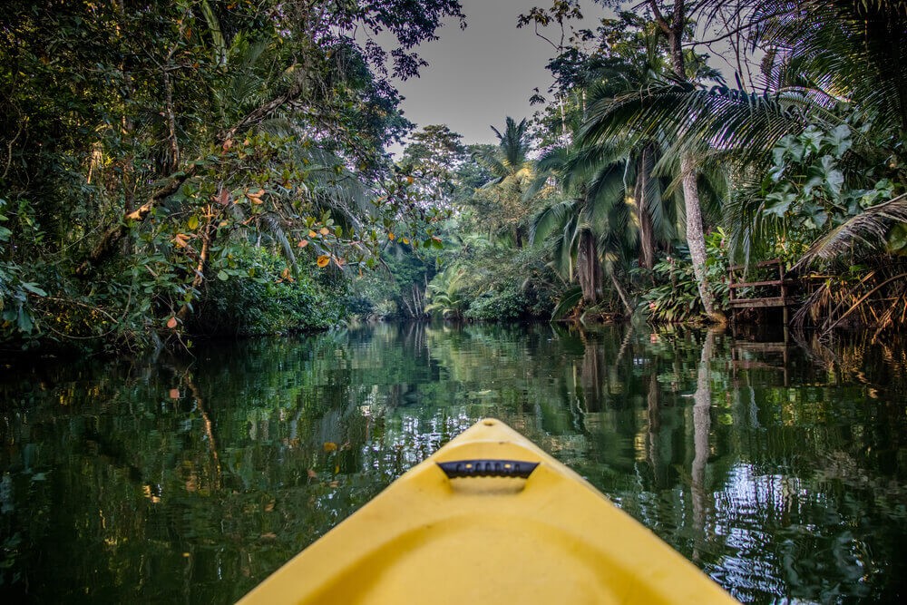 Costa Rica Aktivitäten: Kajak im Mangrovenwald.