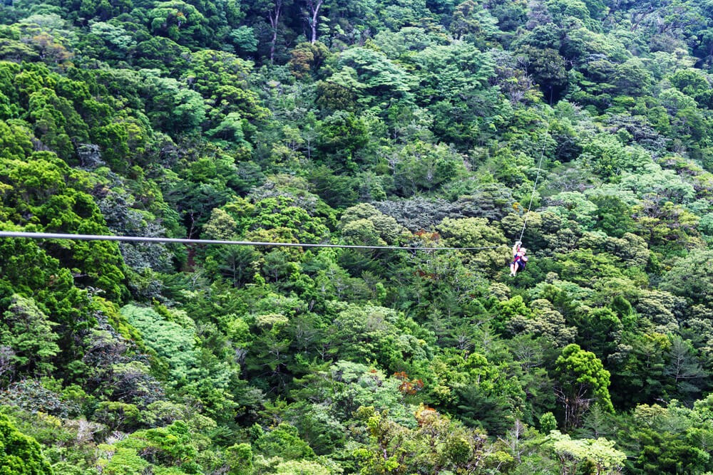 Costa Rica Aktivitäten: Seilrutsche in Monteverde.