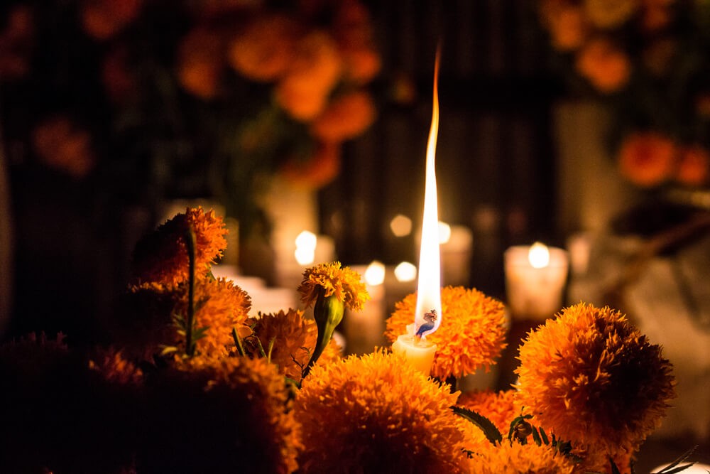 Día de Muertos: Studentenblumen und Kerzen auf einem Friedhof.