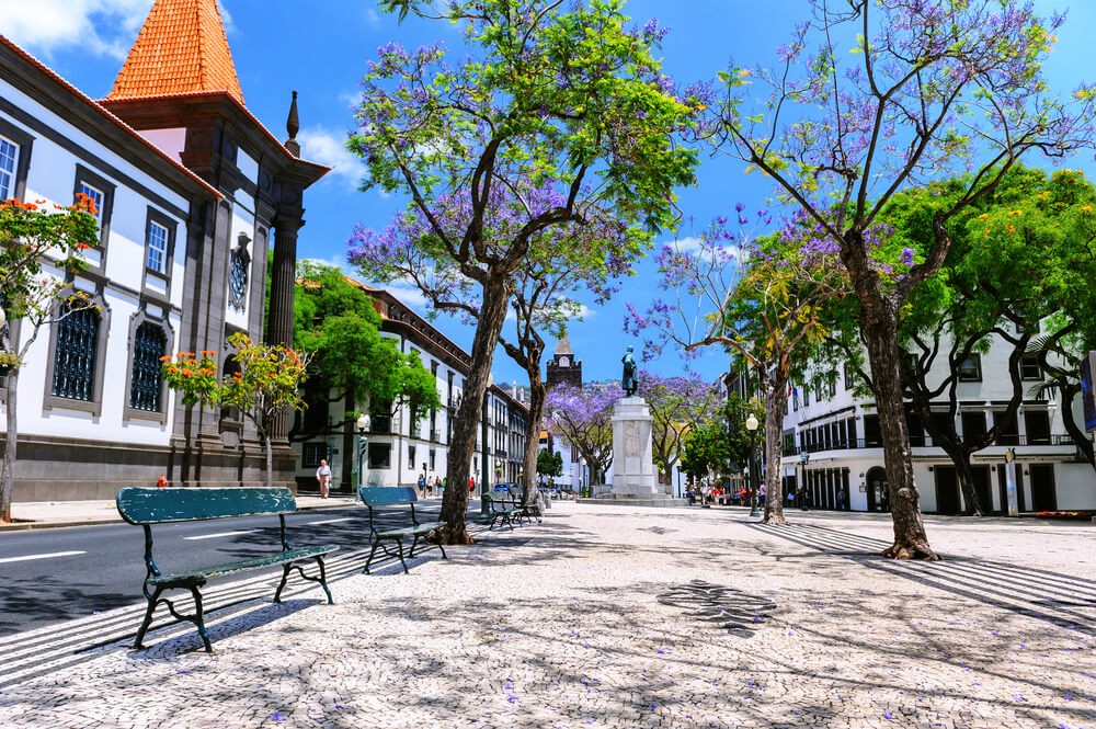 Funchal Urlaub: typischer pittoresker Platz mit blühenden Bäumen