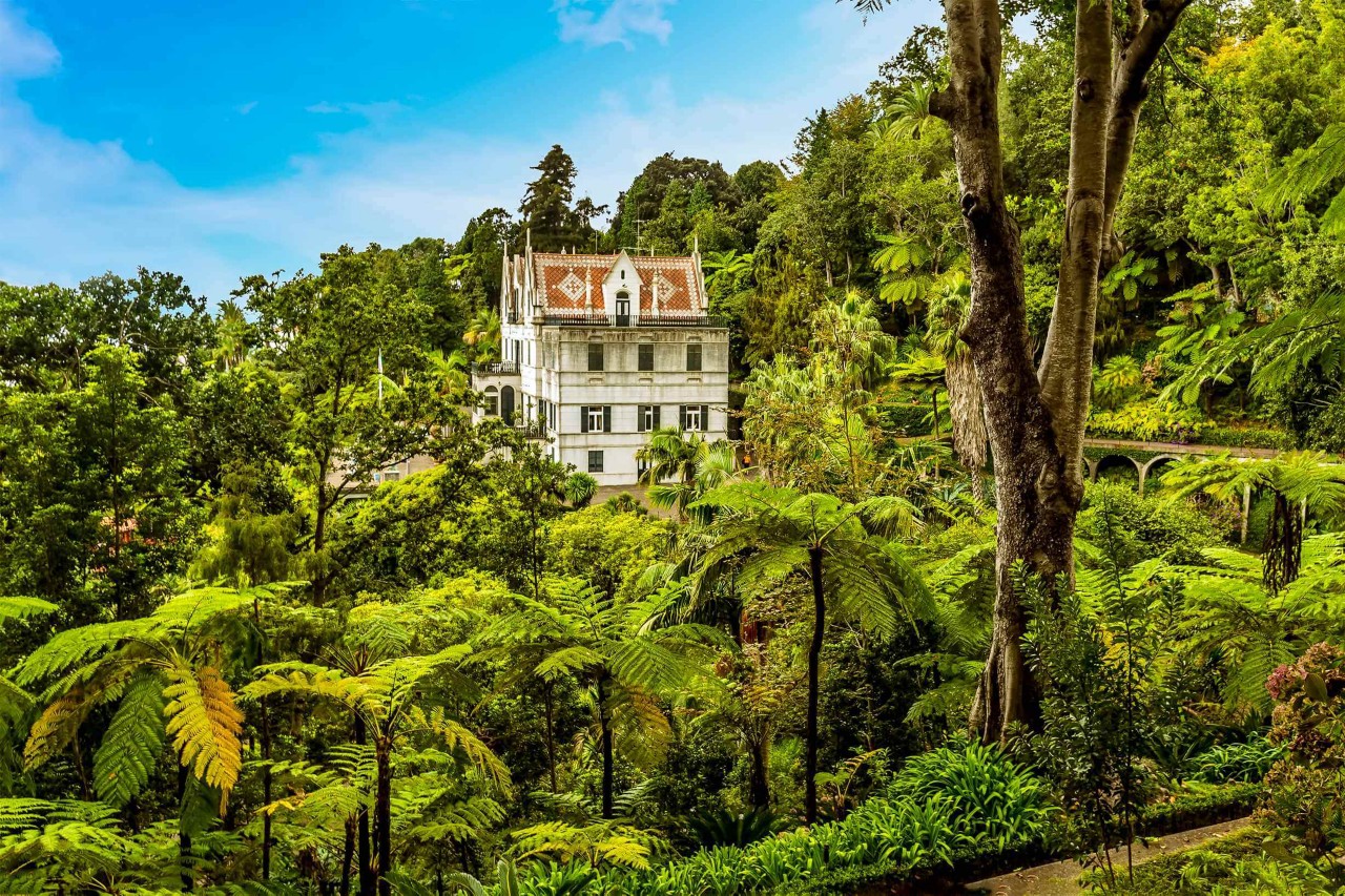 Funchal Urlaub: altes Haus im Stadtteil Monte