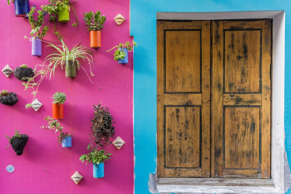 Funchal Urlaub: typische bunt bemalte Fassade mit Blumentöpfen