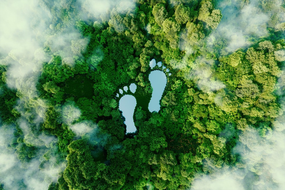 Nachhaltiger Tourismus: Seen in Form von Fußabdrücken im Urwald, aus der Luft gesehen